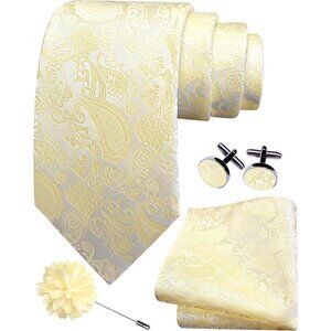 Men's Light Yellow Paisley Tie And Lapel Pin Necktie Hankerchief Cufflinks Set